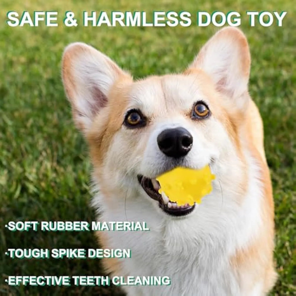 Four bright spiked squeaky dog balls in blue, green, pink, and yellow for small breed puppies.