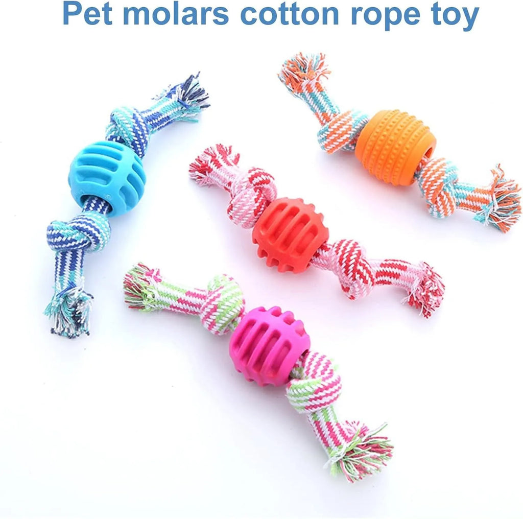 Blue molar-shaped dog chew toy with a white rope threaded through the centre.