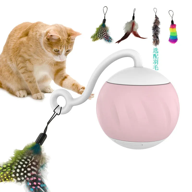 Electric luminous cat teaser ball in watermelon or pumpkin design with USB charging