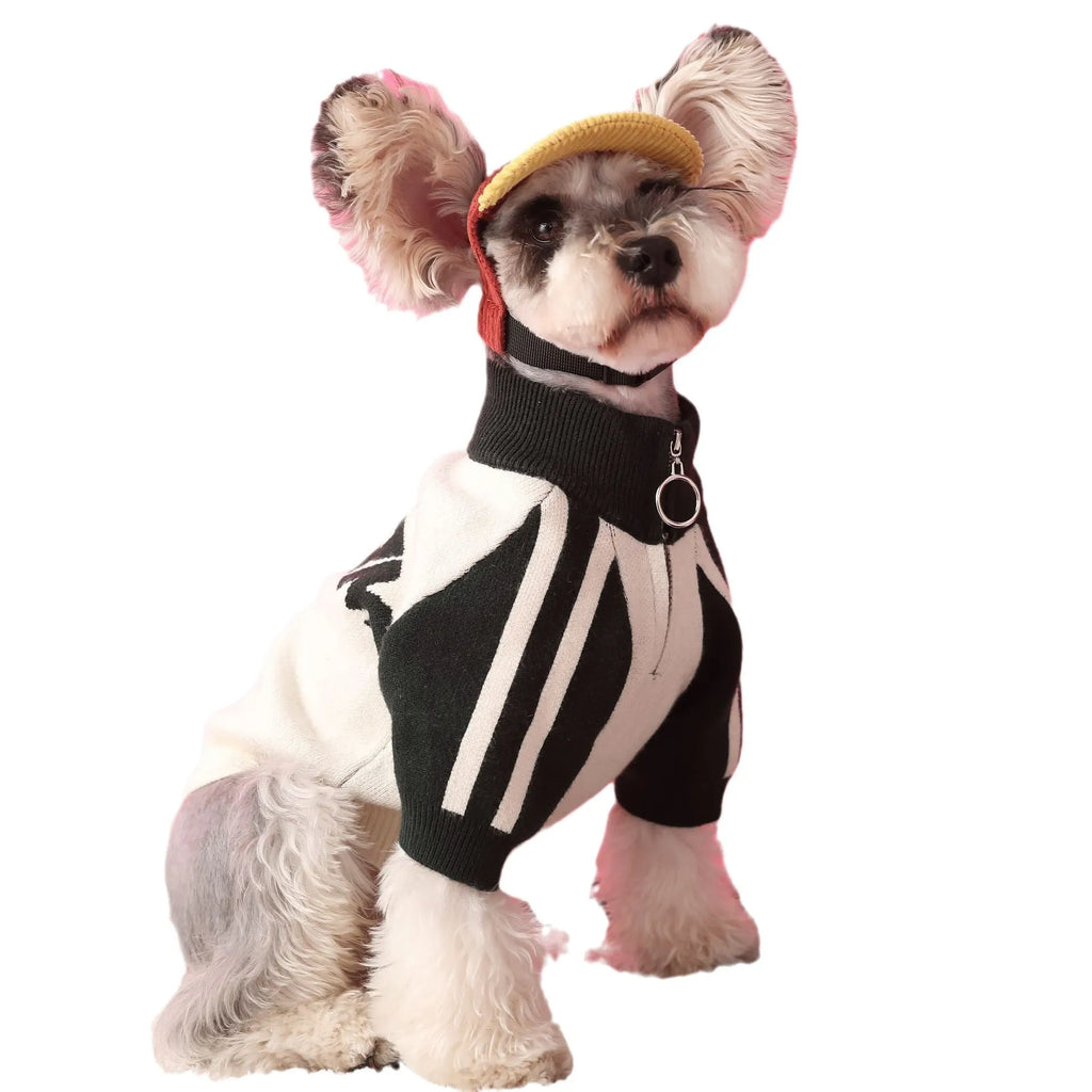 Dog wool cardigan sweater for male puppies in dark green or red colour without accessories