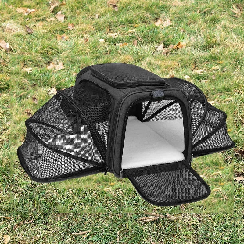 600D cation cat bag in small and large sizes with solid colour design