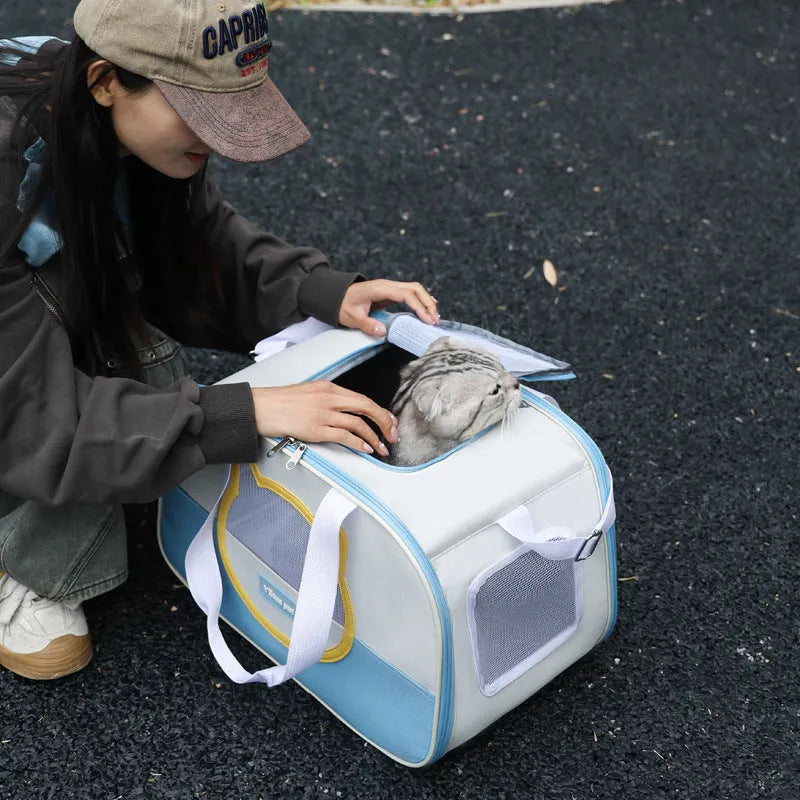 Outdoor foldable cat school backpack in oxford cloth, shown in a blue colour variant.
