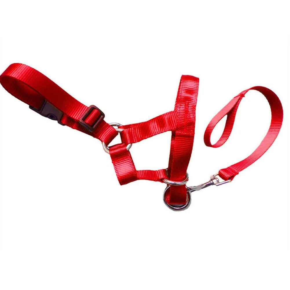 Adjustable nylon dog muzzle cover in black with cloth body and strap