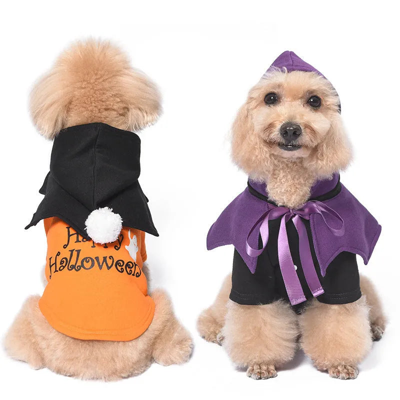 Halloween pumpkin dog costume with black and orange sweater and shawl on dog