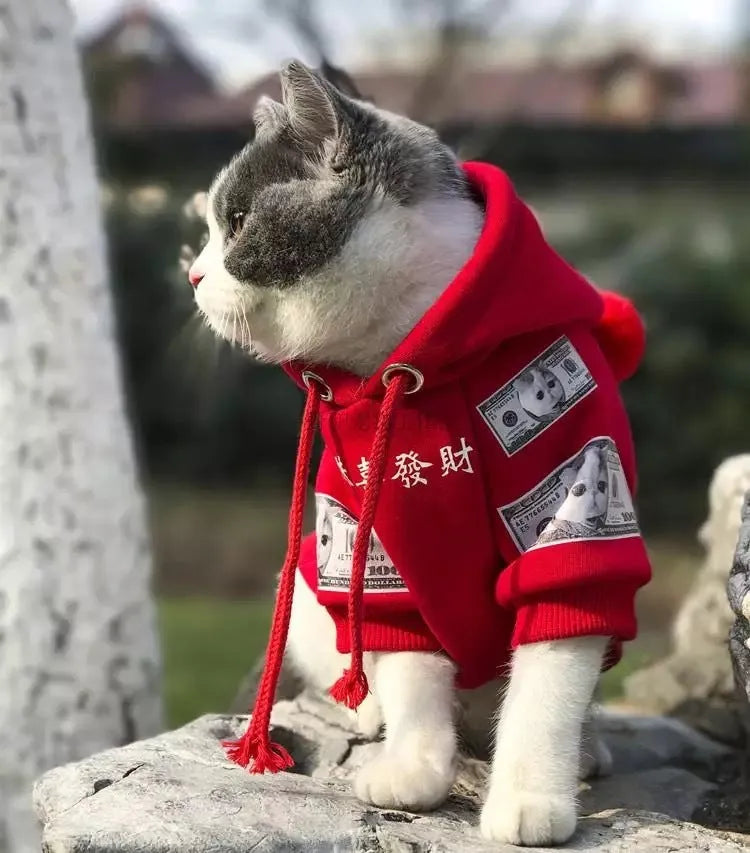 Pure cotton plus fleece pet sweater for cats and dogs in red