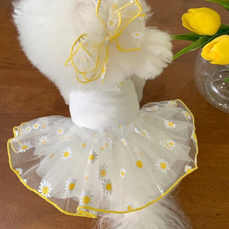 Yellow daisy print dog clothing for summer wear in lightweight polyester fabric
