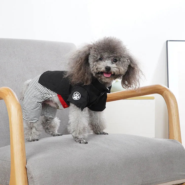 Poodle wearing either a cotton skirt or four-legged trousers, showcasing the two style options for seasonal dog clothing.