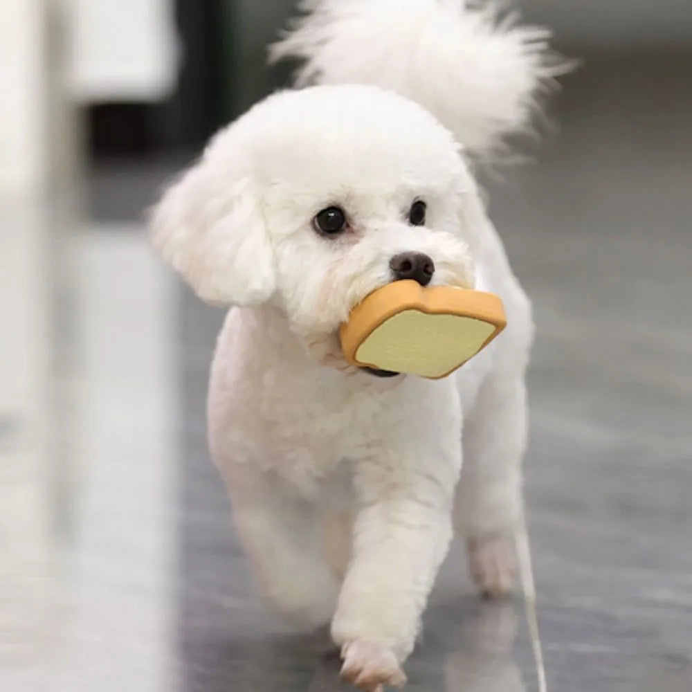 Yellow and green cartoon bread egg shaped latex squeaky toy for dogs on a white background.