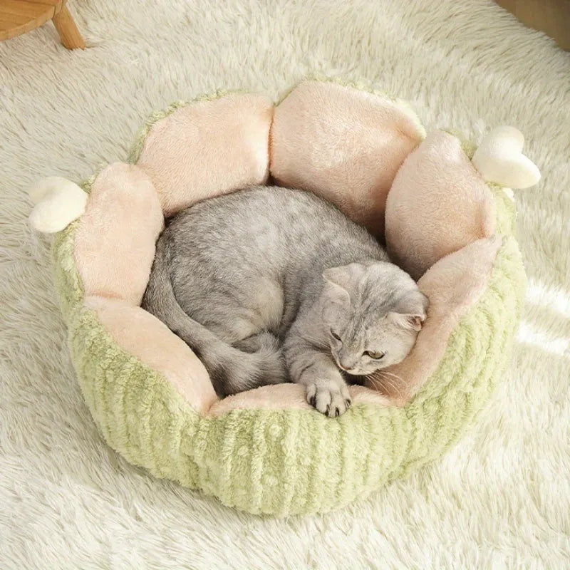 Cactus design cat litter kennel bed in green or purple colour, showing soft construction