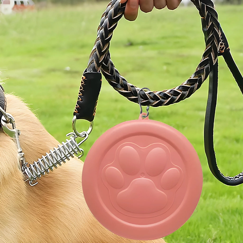 Collapsible silicone dog bowl in light green showing flat and opened positions