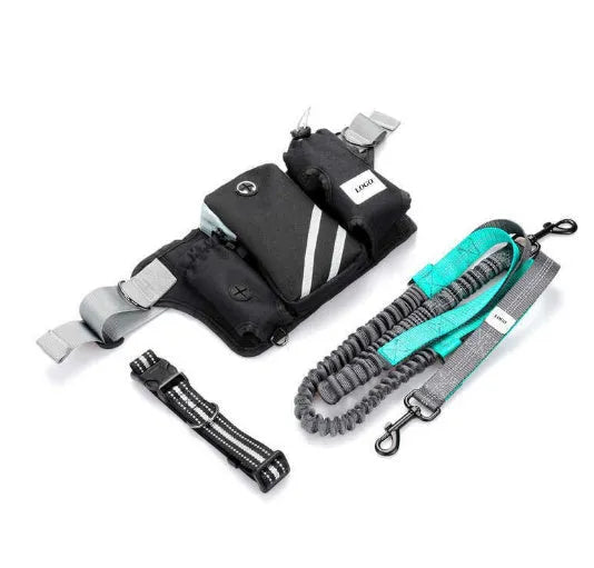 Black nylon dog walking waist bag with matching leash and collar set for outdoor training