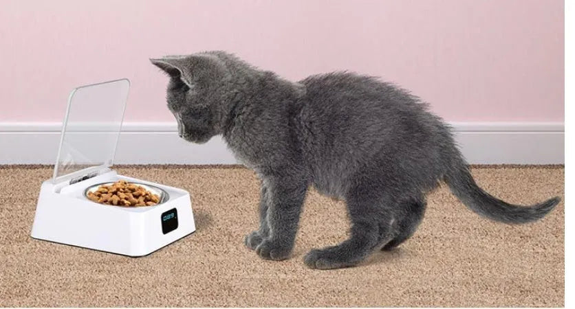 White automatic pet feeder with 5G bowl, compact size 210x170x92mm, gravity-fed design for dogs and cats