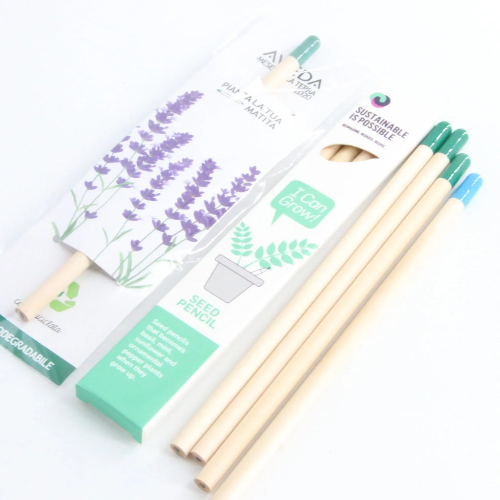 Seed pencil with coloured degradable capsule containing plantable seeds next to a small potted seedling.