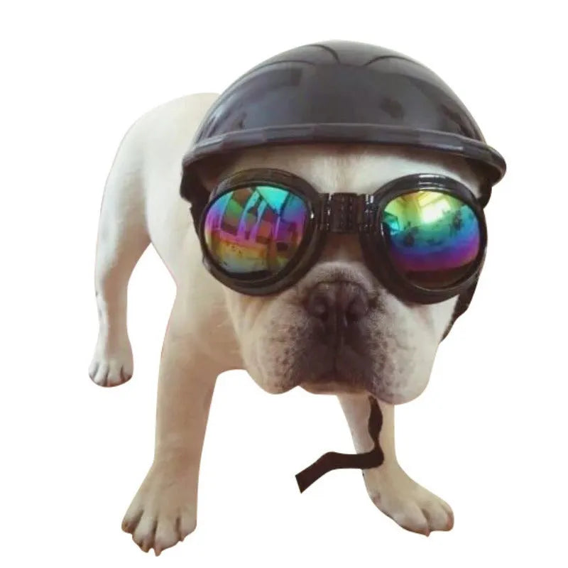 Plastic dog motorcycle helmet in various colours showing three size options