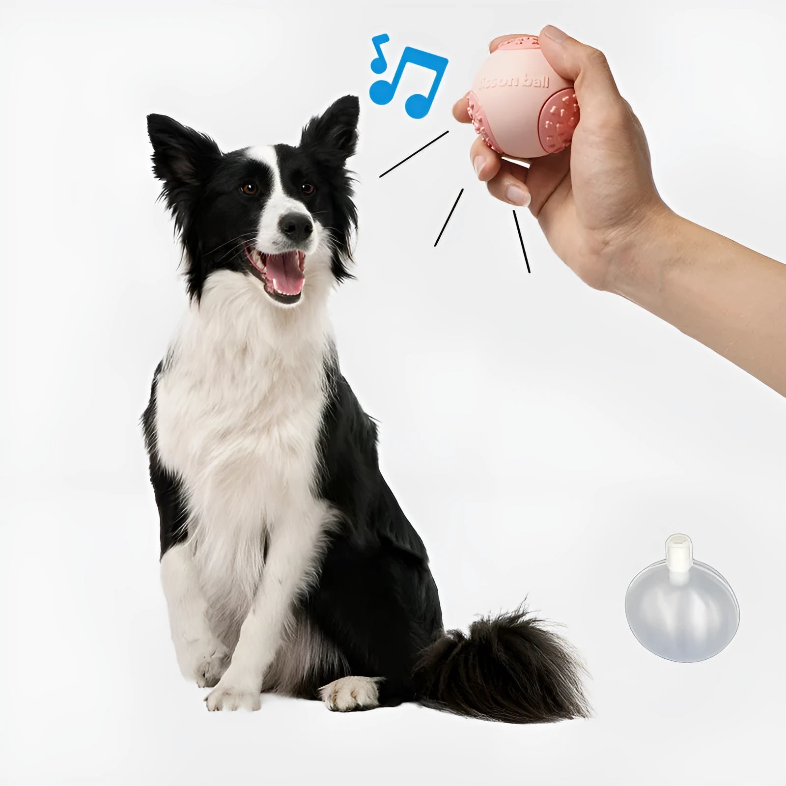 Green and pink durable rolling ball dog toy with 64mm diameter for small medium dogs