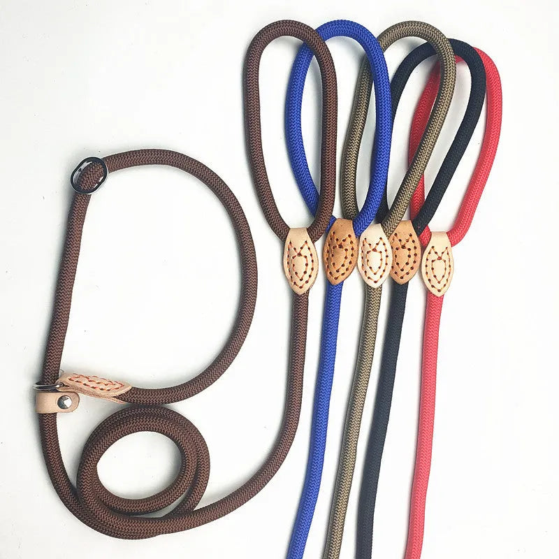 Specialised blast race dog training leash with automatic tightening rope collar in multiple colour options.