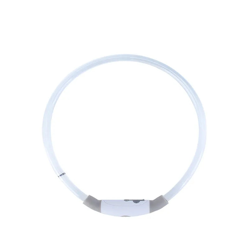 Blue USB rechargeable LED dog collar glowing on a dog's neck at night.