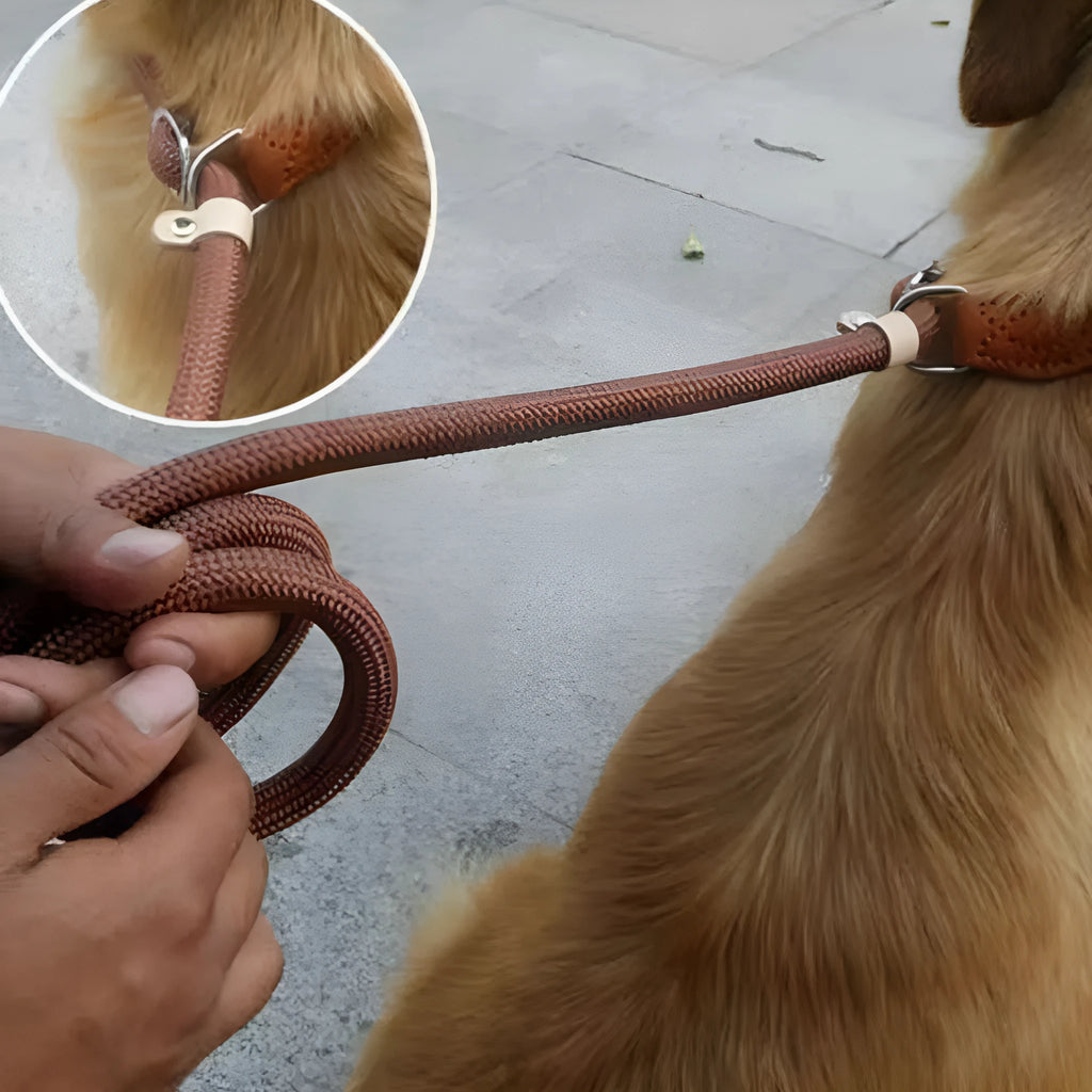 Brown nylon dog leash with P-chain hand holding rope showing 2.1 metre length