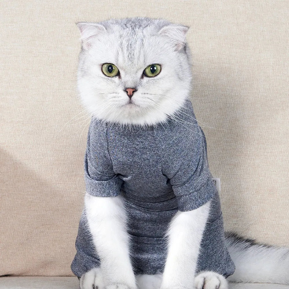 Cat neutering recovery suit in blending gray polyester with sizes XS to L for post-surgery wound protection
