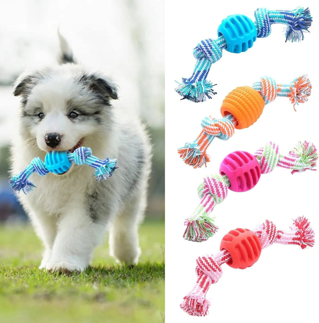 Blue molar-shaped dog chew toy with a white rope threaded through the centre.