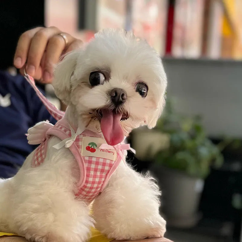 Pink adjustable cotton dog harness with chest and back handle on a small dog.