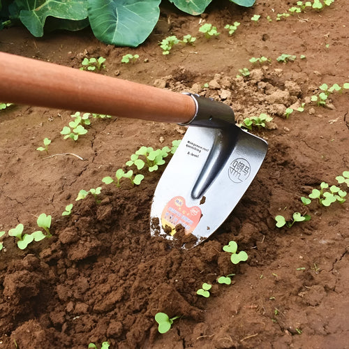 Agricultural pointed hoe with steel horse tip and stainless steel construction