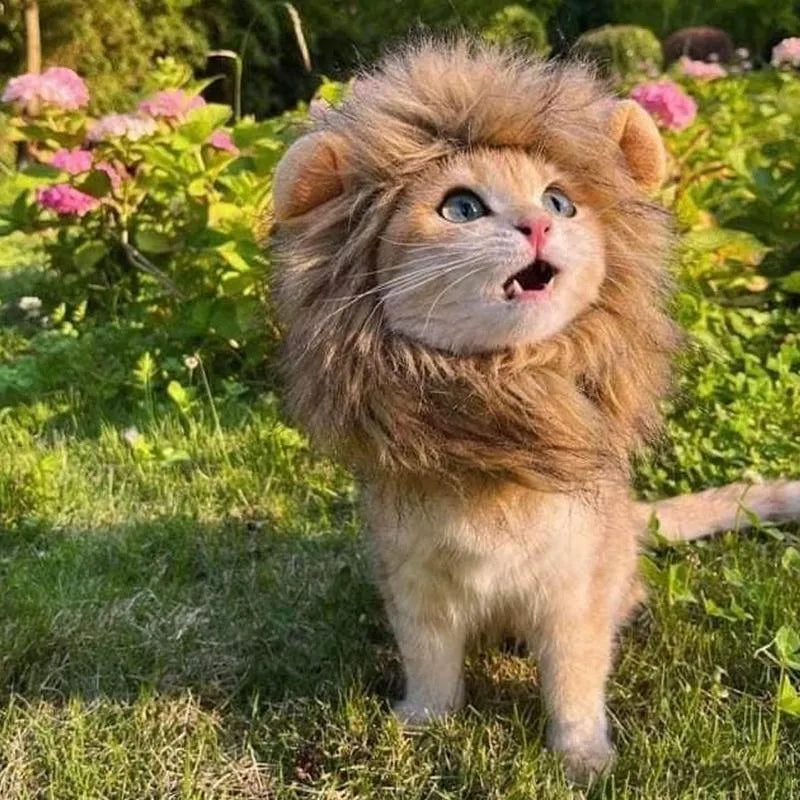 Lion mane wig accessory on cat with adjustable elastic band and fluffy artificial hair