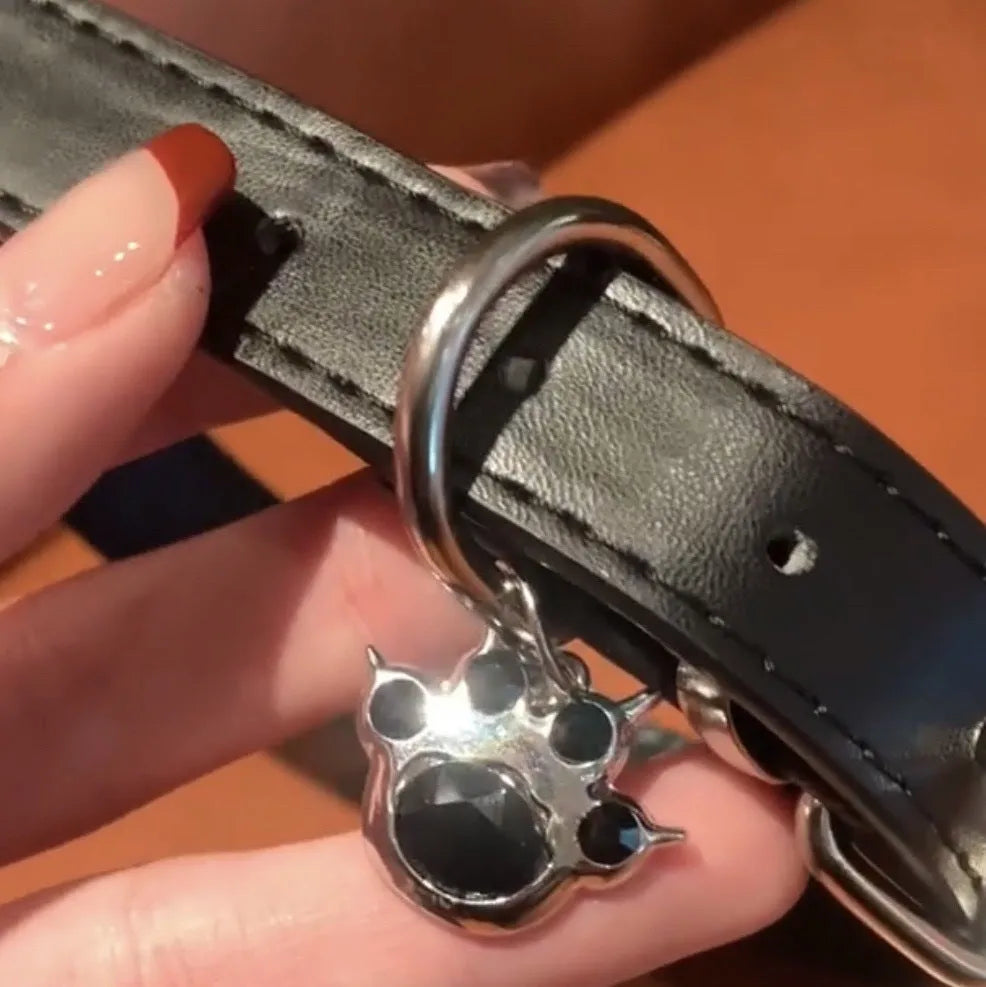 Black adjustable dog collar showing cat paw, bone and LD leather style options with measuring tape showing 21-50cm range