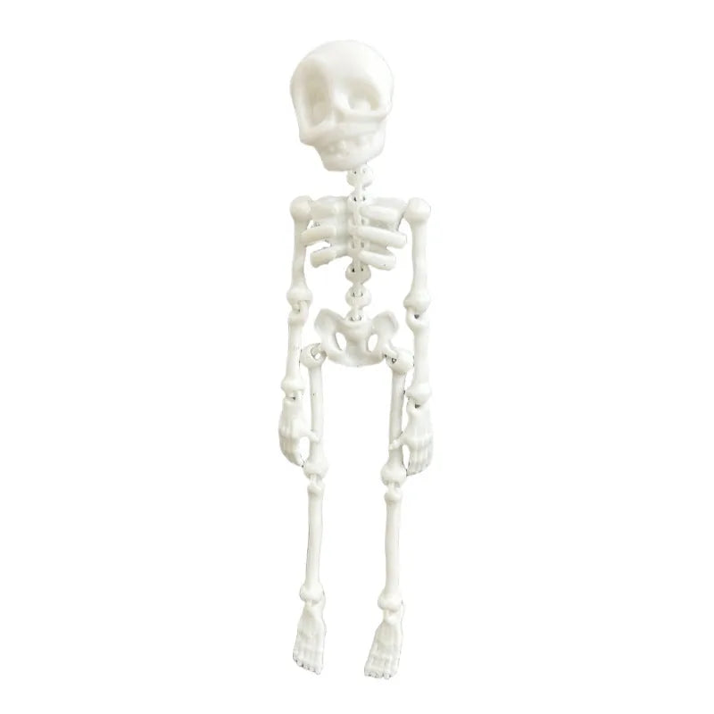 3D printed skull refrigerator magnet showing dimensional details and 18cm height proportions