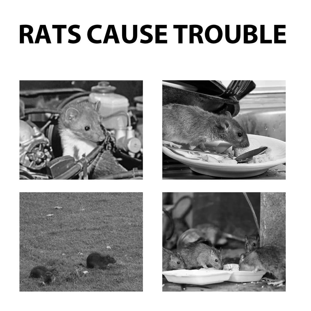 60ml rat repellent spray bottle with natural essential oils for home, car and outdoor use.