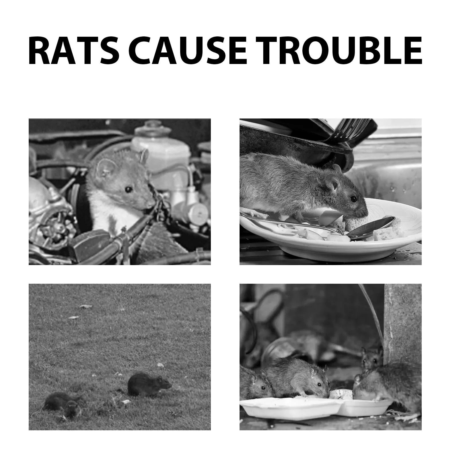 60ml rat repellent spray bottle with natural essential oils for home, car and outdoor use.
