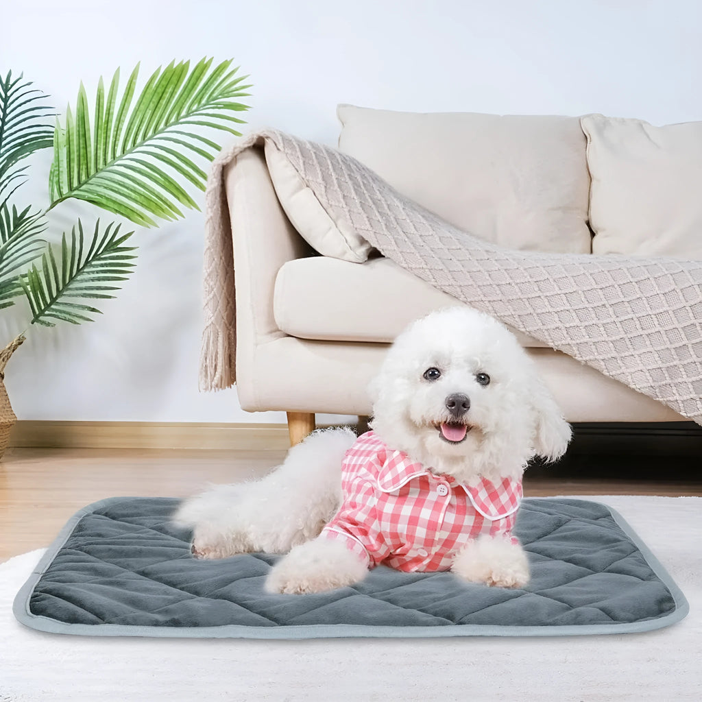 Grey cloth pet cushion shown in a range of four sizes on a wooden floor.