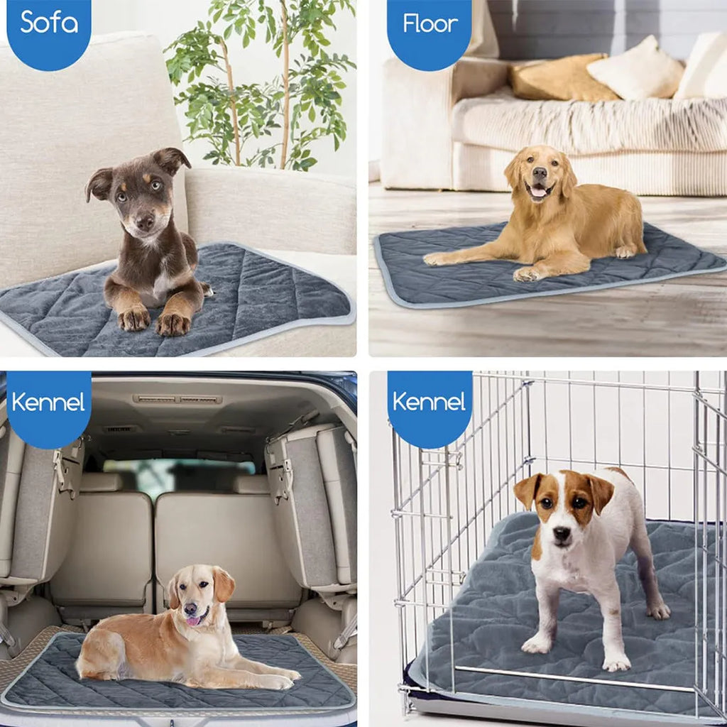 Grey cloth pet cushion shown in a range of four sizes on a wooden floor.