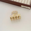 Women's dopamine retro acetate hair barrettes with metal grip in four colour options