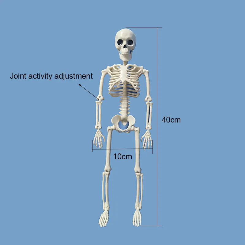 Halloween skull decoration bleeding horror cloth hanging 30x35cm corpse pattern