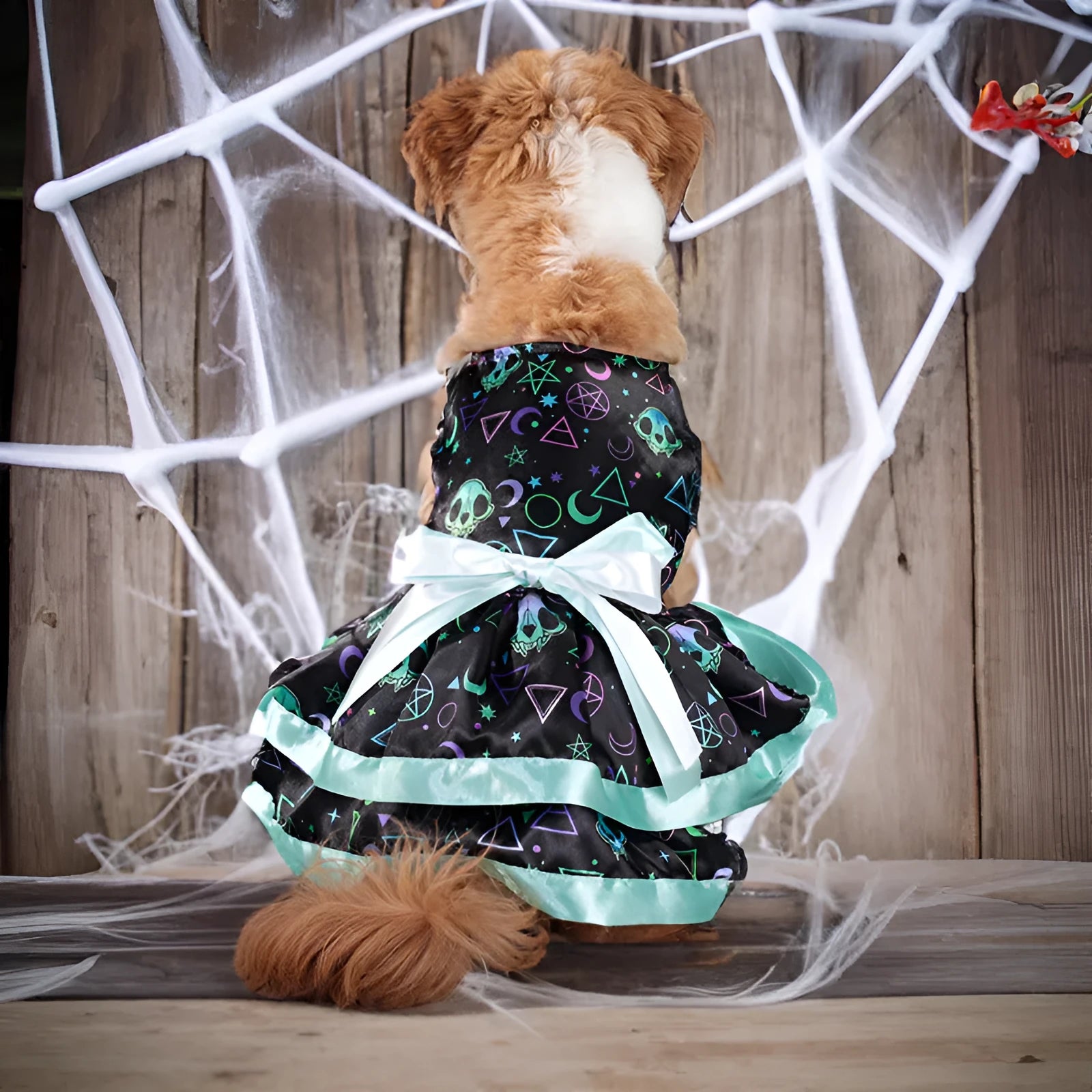 Colourful Halloween dog skirt with pumpkin and skull prints in sizes S M L XL