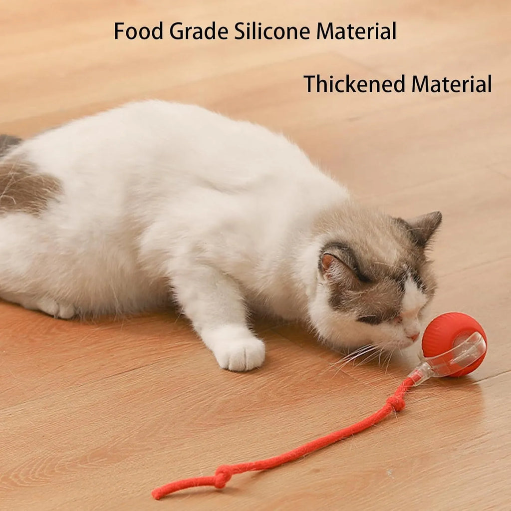 Smart automatic rolling pet ball toy with rope attachment in grey colour, 6.5cm diameter