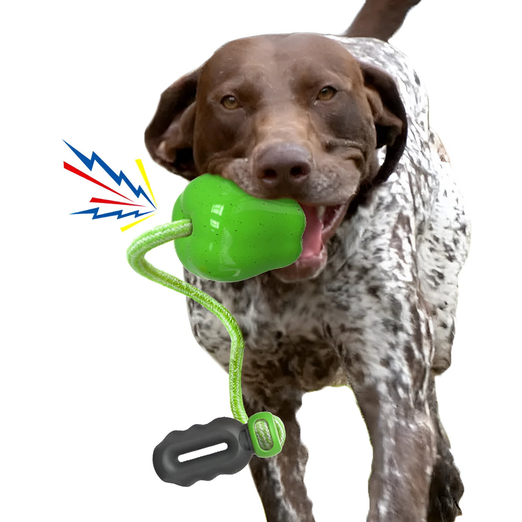 Green apple-shaped dog molar toy with dropping ball mechanism on white background