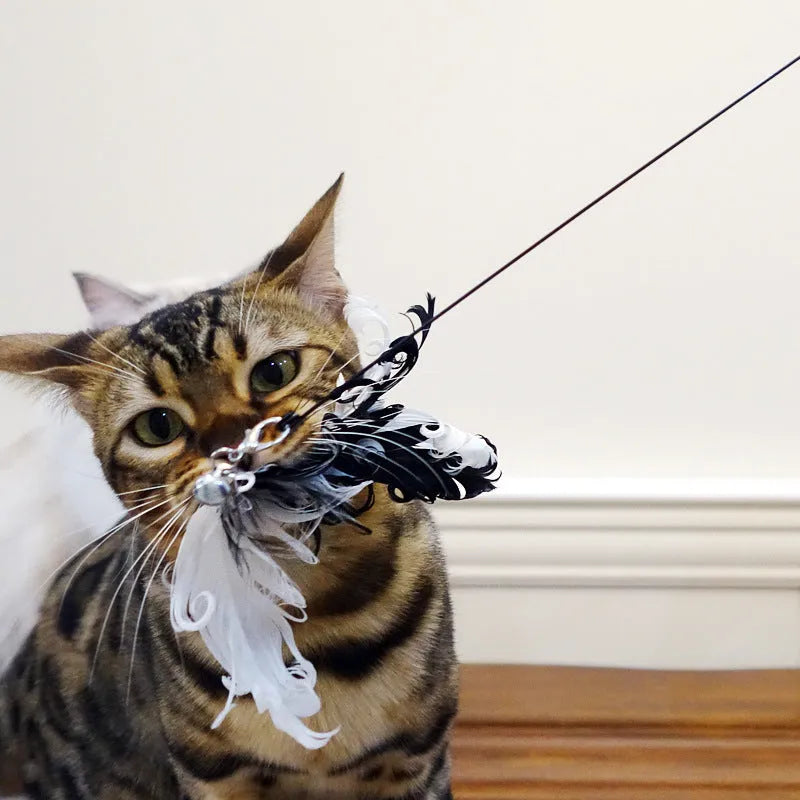 Black funny cat stick cat toy with bird feather and wire tip, single-pack interactive teaser wand for cats