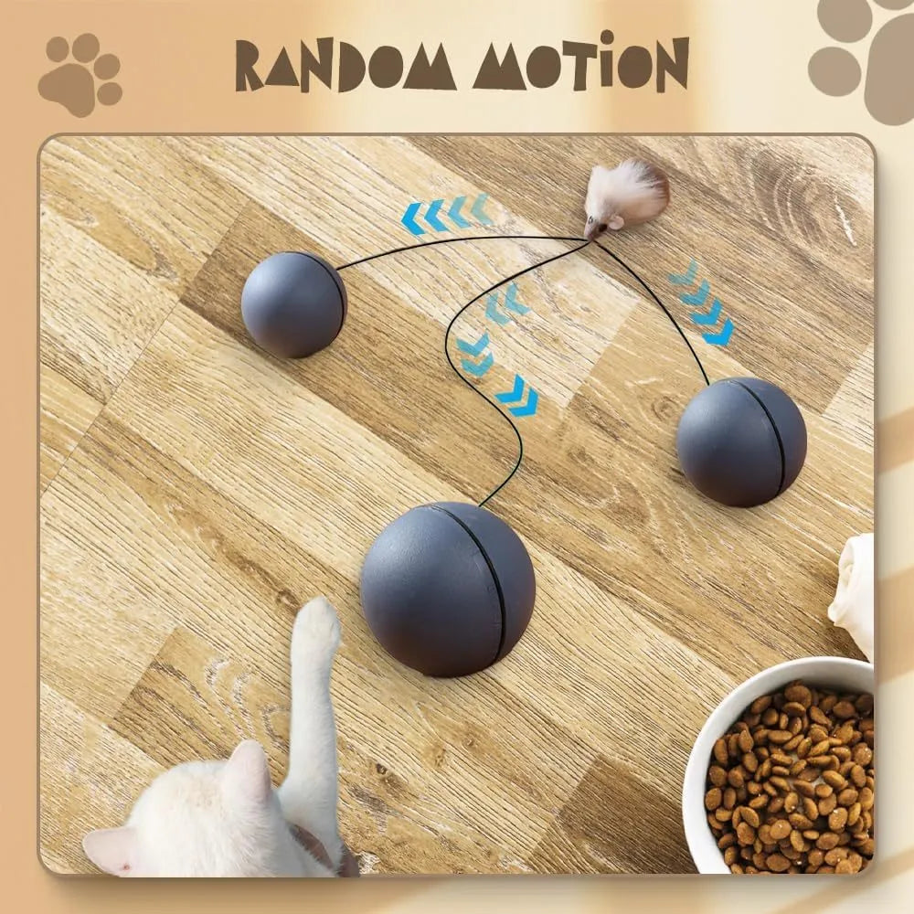 Interactive automatic self-rolling cat ball toy in Blue Orange color, wear-resistant material