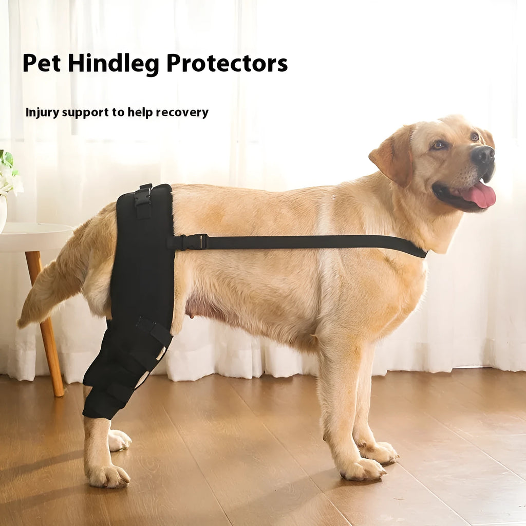 Dog leg protector pair in cloth, black or blue, sizes XS S M L, pet joint protective cover