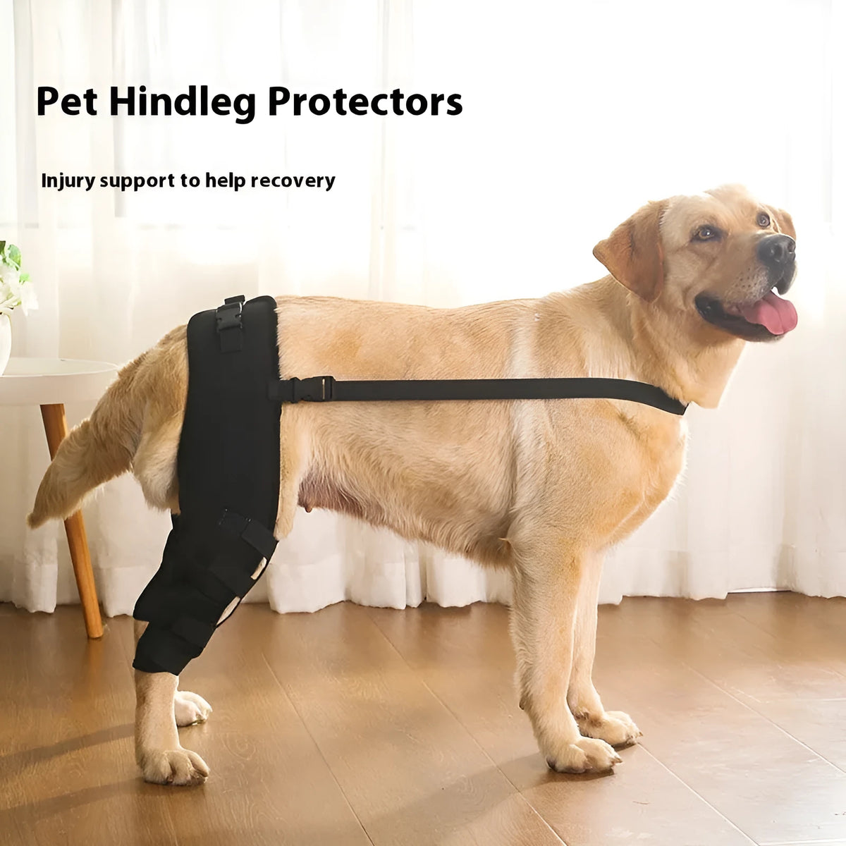 Dog leg protector pair in cloth, black or blue, sizes XS S M L, pet joint protective cover