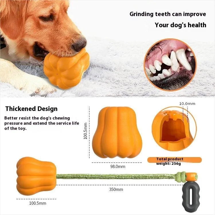 Orange plastic molar-shaped dog chew toy with a blue rope attached, on a green background.