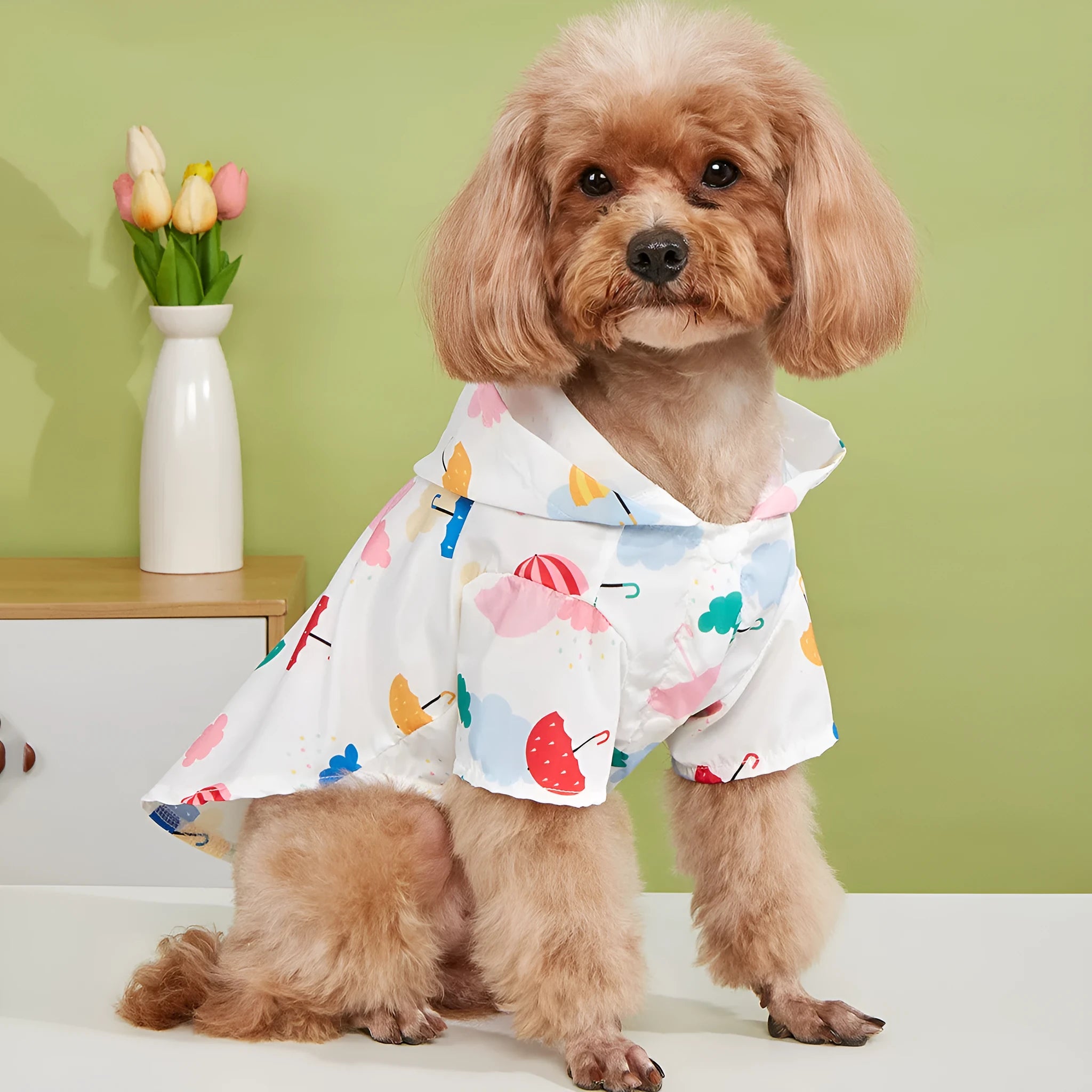 Colourful cartoon umbrella pattern pet raincoat for dogs and cats in polyester material