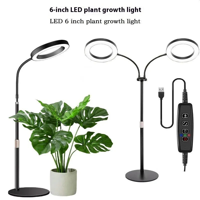 White aluminium alloy retractable floor stand plant grow light with angel ring head positioned over indoor plants.