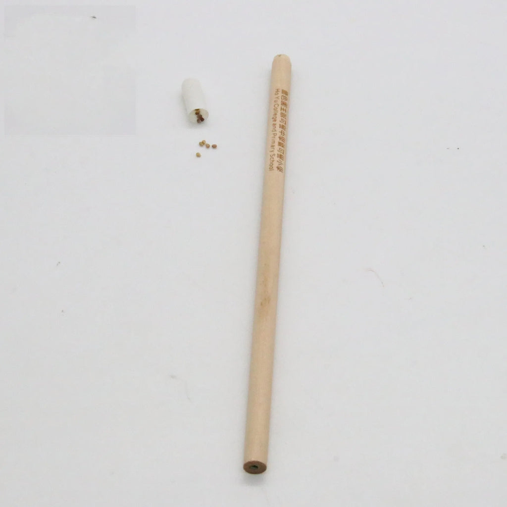 Seed pencil with coloured degradable capsule containing plantable seeds next to a small potted seedling.