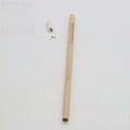 Seed pencil with coloured degradable capsule containing plantable seeds next to a small potted seedling.