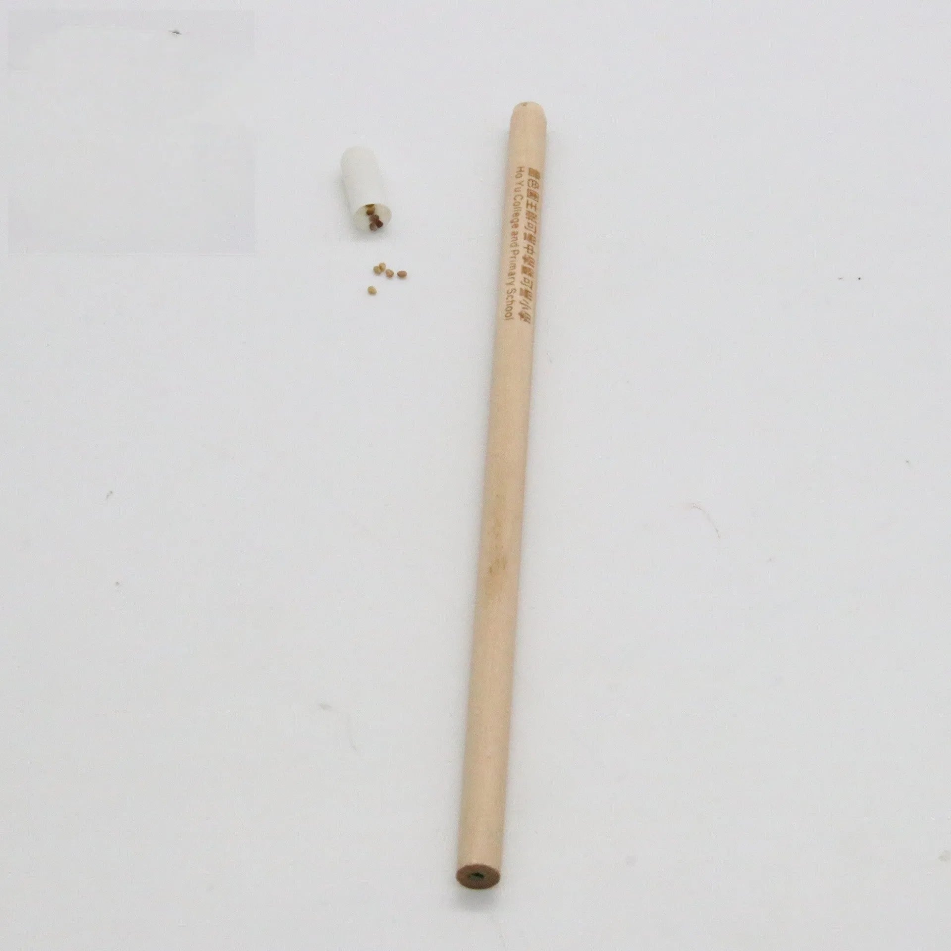 Seed pencil with coloured degradable capsule containing plantable seeds next to a small potted seedling.