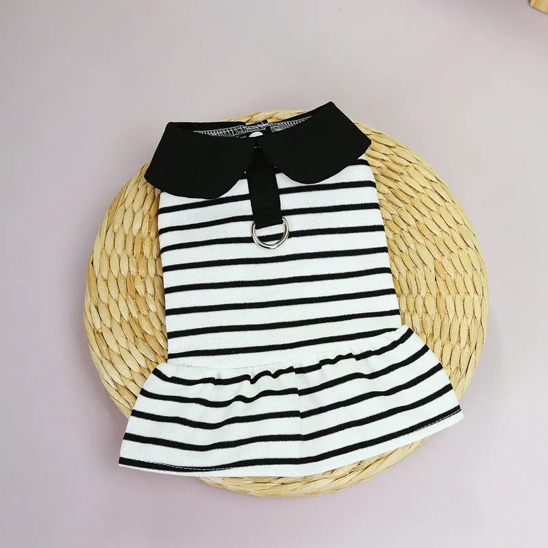 Pet wearing striped cotton t-shirt and matching skirt casual summer outfit
