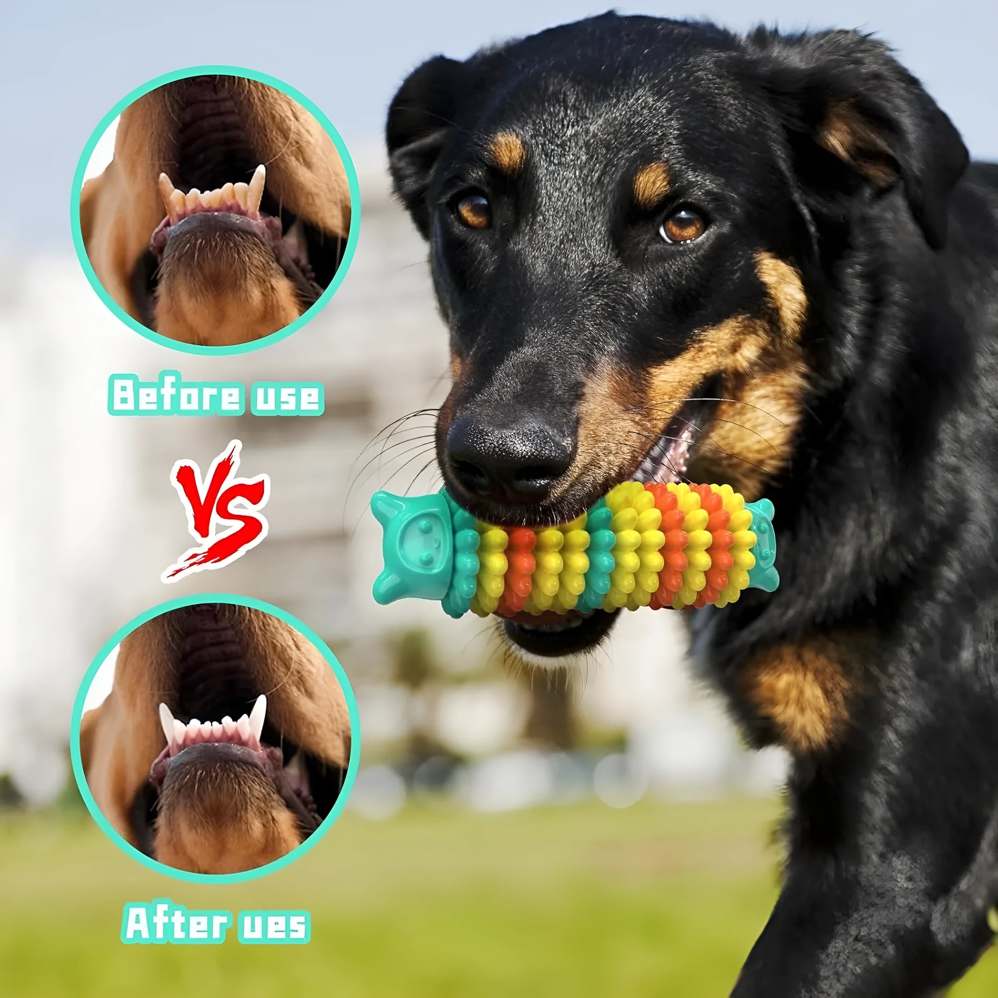 Blue rubber caterpillar-shaped chew toy for dogs on a plain background.